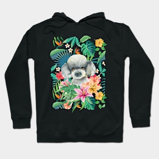 Tropical Gray Silver Toy Poodle 1 Hoodie